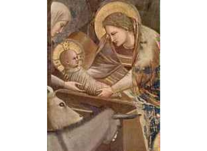 giotto - presepe giotto - presepe